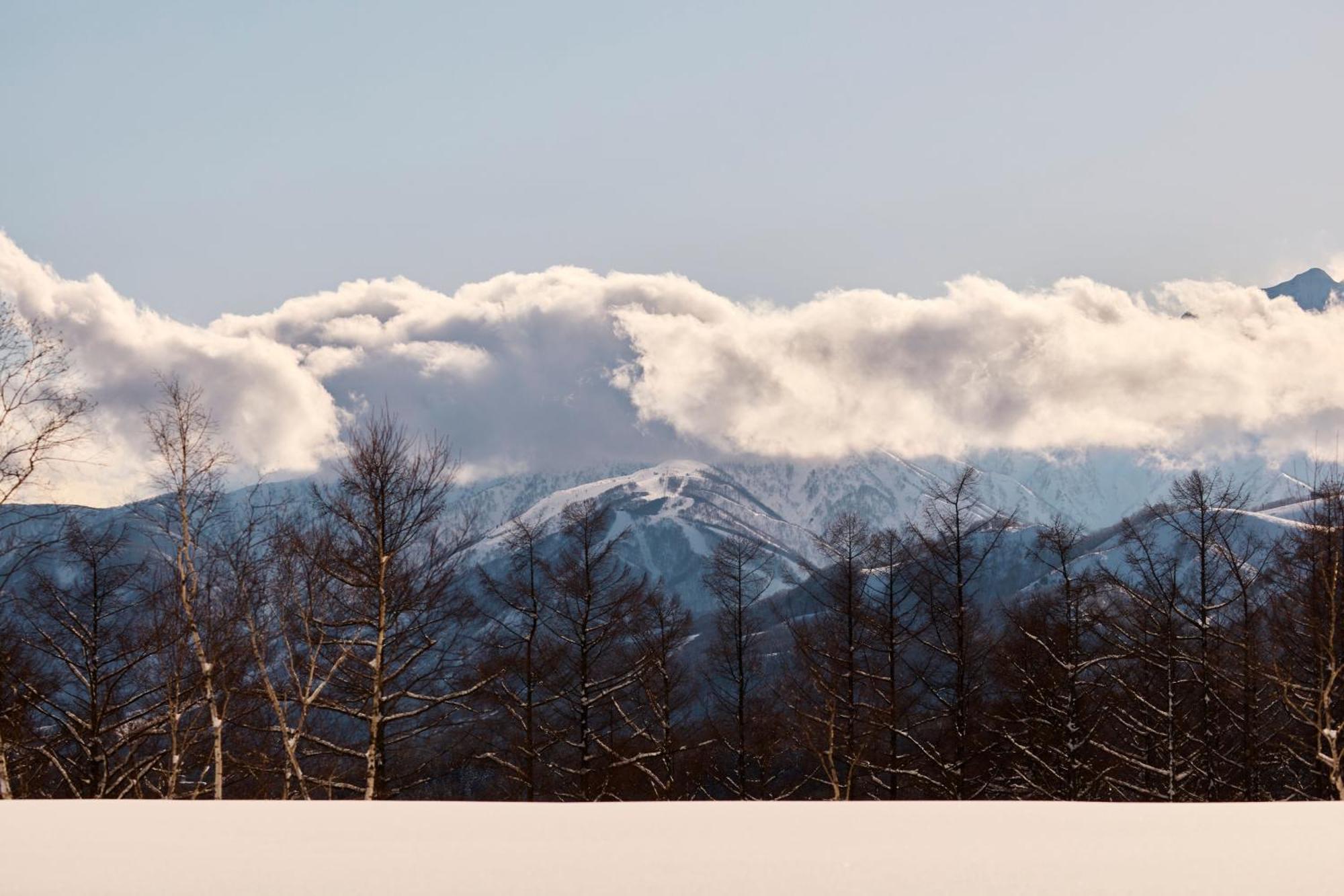 Lodge Canopy - Boutique At Hakuba Cortina Otari